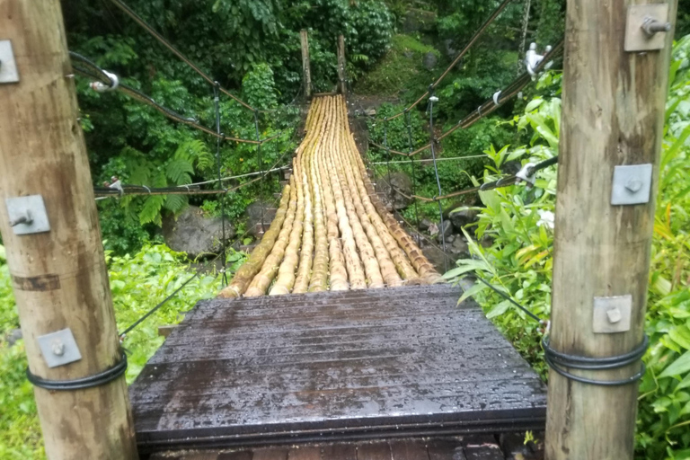 St. Vincent: Dark View Falls Tour