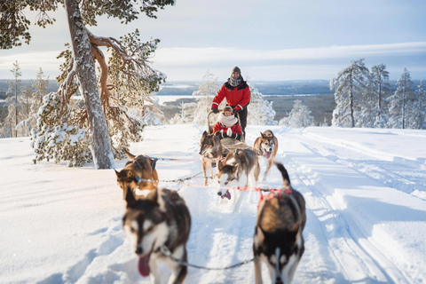 Rovaniemi: Santa Village,2km Husky Sled Ride & Snowman World Rovaniemi: Santa Village, Snowman World & Husky Sledge Ride