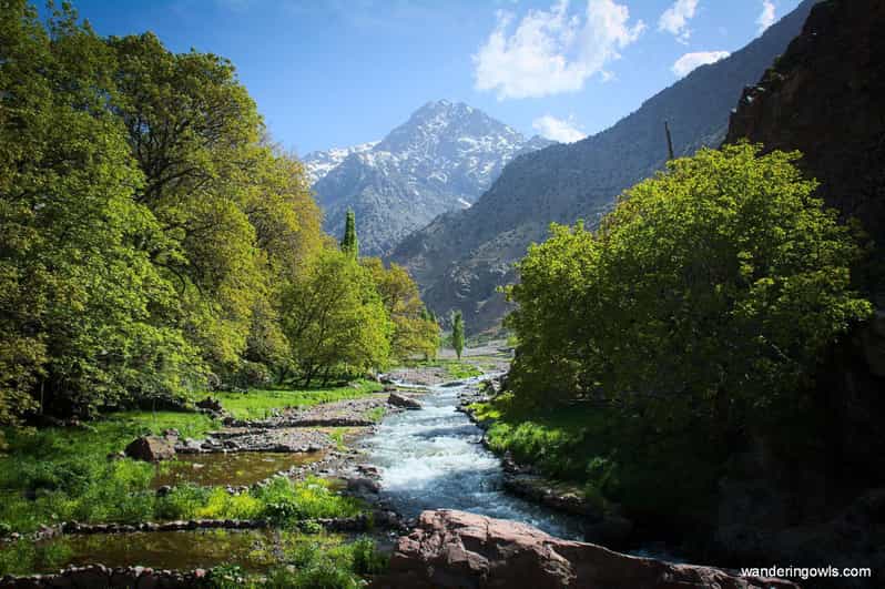 Depuis Marrakech : excursion d'une journée dans l'Atlas et la vallée de l'Ourika - excursion