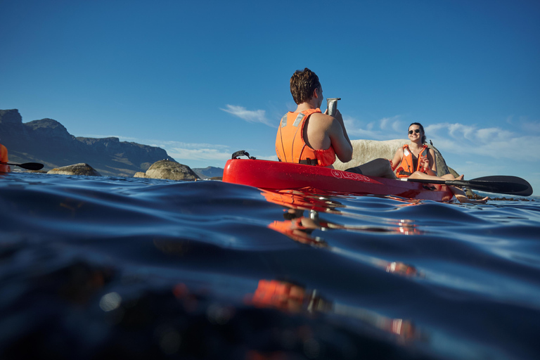 Cape Town: Guided Kayak Tour of Clifton Beaches & The Coast