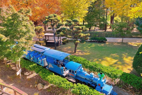 Alpaca World, Nami Island, and Rail Bike Tour