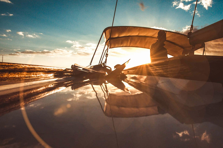 Funchal: Dolphin and Whale Watching Sunset Tour