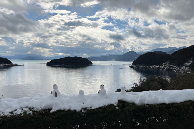 Osaka/Kyoto: Amanohashidate, Ine Bay & Nariaiji Temple Tour From Osaka Meeting Point