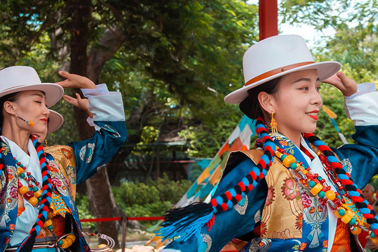 Hong Kong: Viagem de um dia ao futuro de Shenzhen e à China tradicionalHong Kong: Viagem de um dia a Shenzhen Future &amp; Folk China