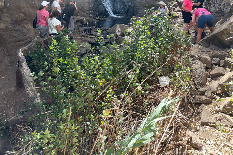 Gran Canaria: excursie naar de Barranco de los CernícalosGran Canaria: trip naar de Barranco de los Cernícalos