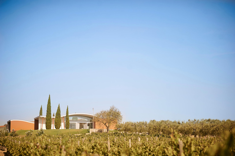 Barcelona - Penedes: Guided Tour at Jean Leon: 4 wines, 4 tapas Guided Tour with Tapas: Jean Leon Journey: 4 wines, 4 stories