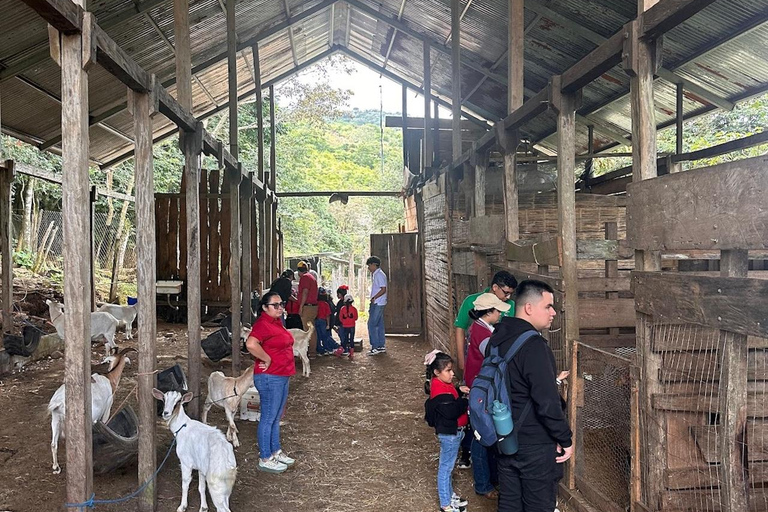 Horseback Ride + Contact Farm in Boquete 2 hours