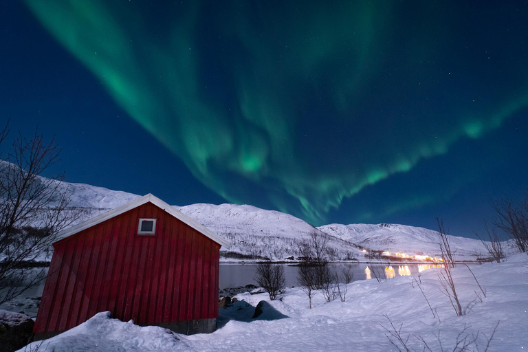 De Tromsø: Perseguição de ônibus guiada pela aurora borealDe Tromsø: Tour Guiado de Ônibus em Busca da Aurora Boreal