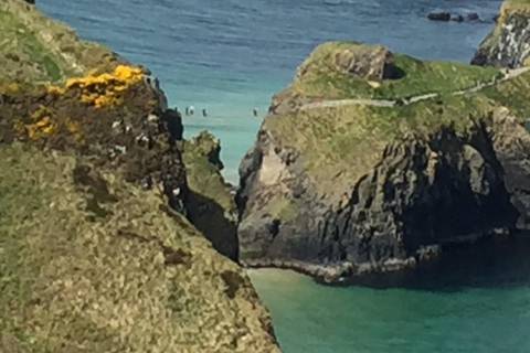 Giants Causeway: Tour per piccoli gruppi da Belfast