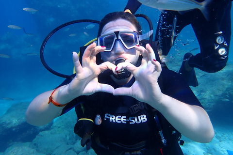 Alanya: PADI Discover Dive & Certified Training Options First Time Diving Option