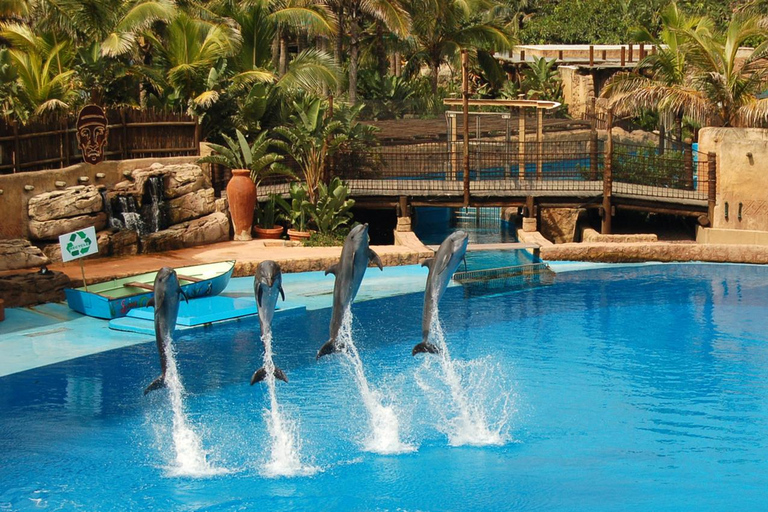 Durban: Full Day Ushaka Marine World Tour