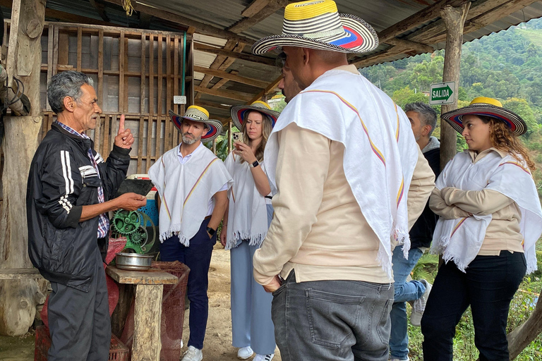 The Incredible Coffee Experience: Secrets of Medellín The Incredible Coffee Experience: Secrets of Medellin