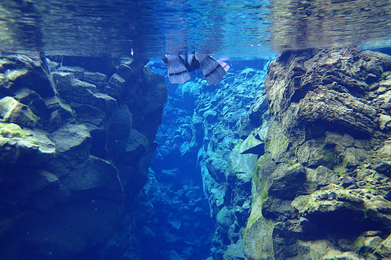 Excursão para grupos pequenos com snorkel no Círculo Dourado e SilfraGolden Circle &amp; Silfra Snorkeling Small Group Tour