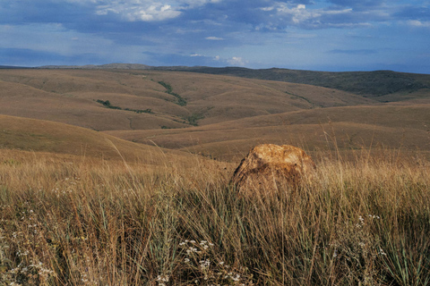 From São Paulo: 5-Day Serra da Canastra Wildlife Safari