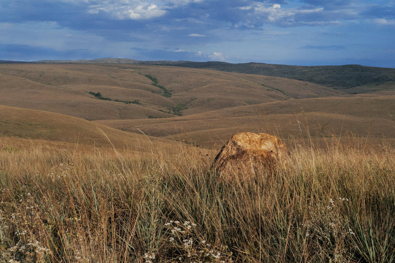 From São Paulo: 5-Day Serra da Canastra Wildlife Safari