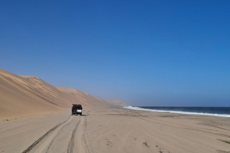 Swakopmund: Namib Desert Sunrise, Seals & Sandwich Harbour