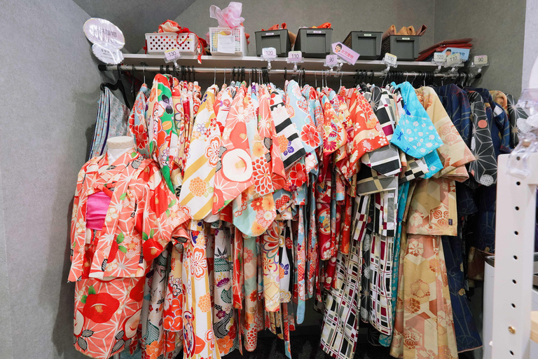 Kyoto: Gion Kiyomizudera Kimono Yukata Hairstyle& Photoshoot Kyoto Photo Session ONLY (1-Hour)