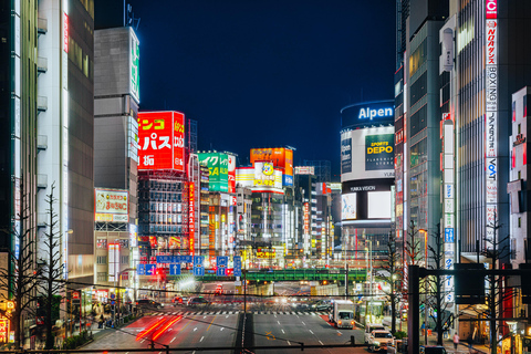 Tokyo: Crociera con cena con Shamisen e spettacolo di danza sulla Torre di Tokyo