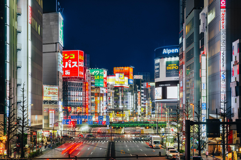 Tokyos huvudstad: Middagskryssning med Shamisen &amp; dansshow i Tokyo Tower