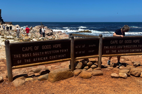 Robben Island, Penguins & Cape of Good Hope Adventure
