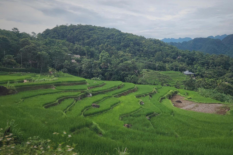 2 Day Trekking In Pu Luong Loop & Overnight At Homestay Start from Hanoi - Pu Luong