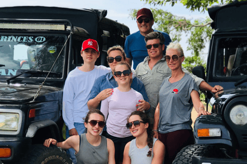 From Near Sigiriya: Minneriya National Park Safari Tour Half Day Safari Tour
