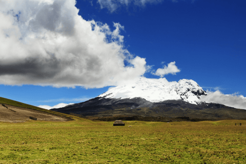 Antisana Volcano Private Day Tour from Quito