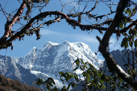 Pico Mera, Nepal