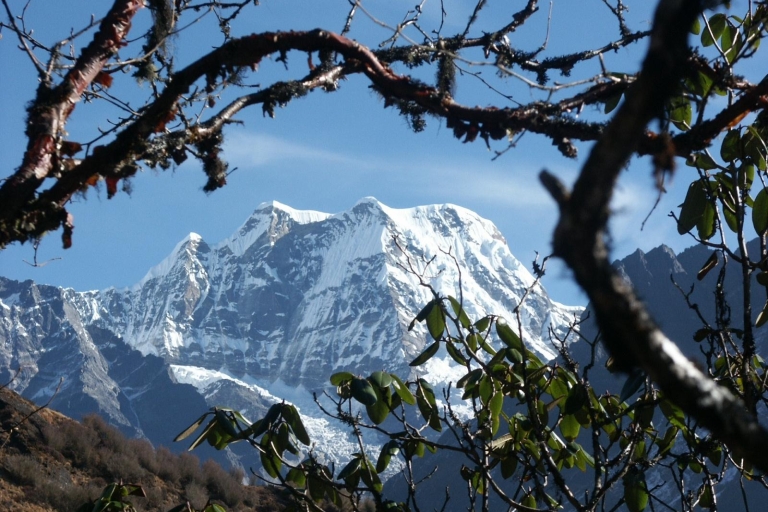 Pico Mera, Nepal