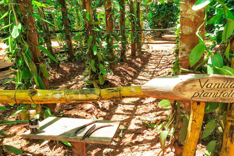 From Colombo To Polonnaruwa Transfer with Sightseeing Stops