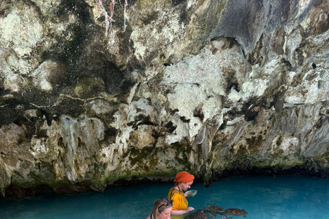 زنجبار: جولة في مزرعة التوابل وجولة في كهف السلامجولة خاصة مع النقل مشمول