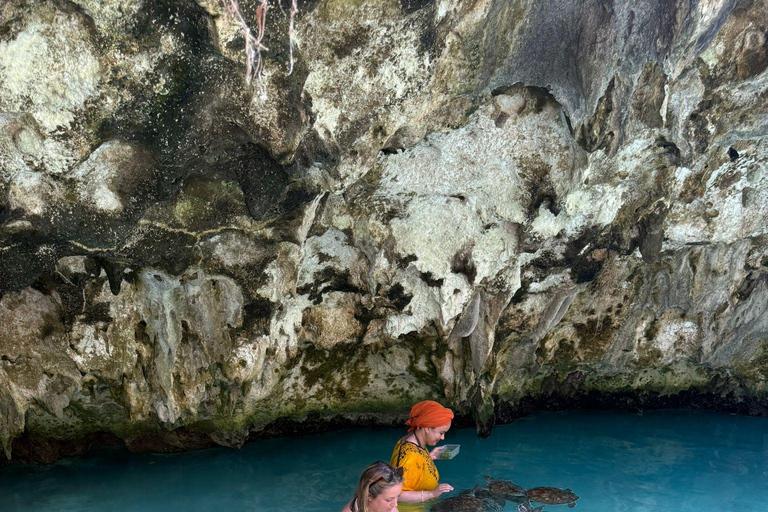 زنجبار: جولة في مزرعة التوابل وجولة في كهف السلامجولة خاصة مع النقل مشمول