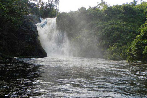From Kampala: Mabira Forest Walk & Ssezibwa Falls Experience