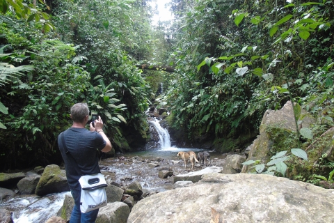 Mindo Cloud Forest and Birding Circuit Tour Mindo Cloud Forest and Birding Circuit Tour-Tickets & lunch