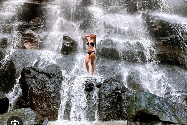 Ubud Private Tour – Nature,Culture,Experience & Hidden Gems Ubud Private Tour – Ubud Monkey Forest & Waterfall Tour