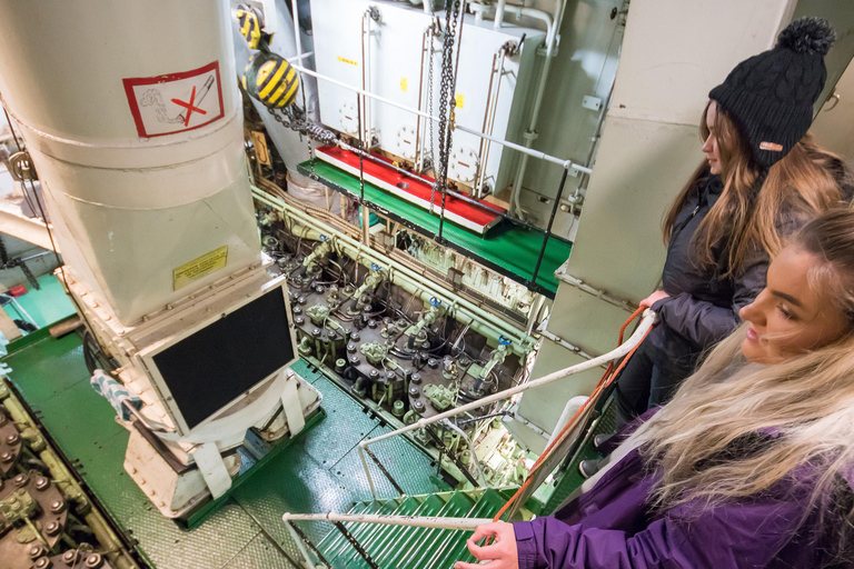 From Rovaniemi: Icebreaker Sampo Cruise and Ice Floating Morning Cruise at 9:00 AM with pickup from Rovaniemi