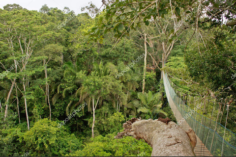 L&#039;île aux singes + Excursion à la chauve-souris