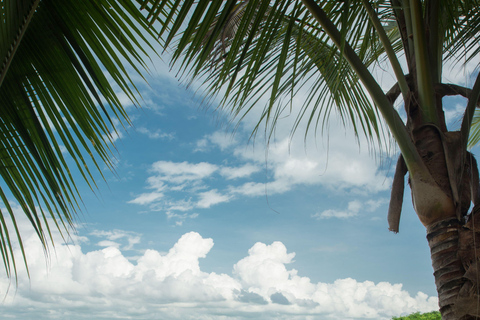 Isla Iguana Full Day Tour