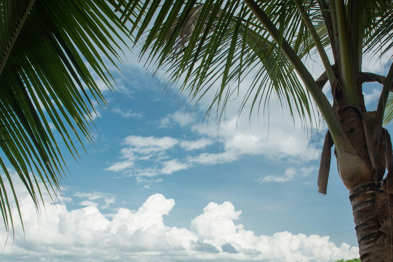 Isla Iguana Full Day Tour