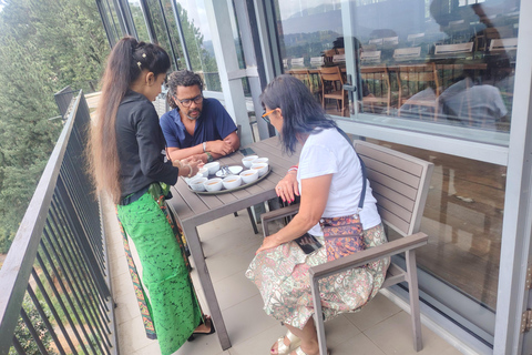 From Kandy: Nuwara Eliya Private Day Trip with Tea Factory