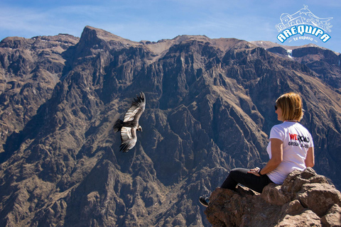 VISITE À LA JOURNÉE DU CANYON DE COLCA PETITS GROUPES