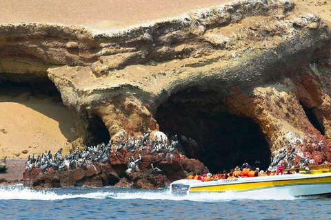 Full Day Paracas Ballestas Islands, City Tour Ica Tubular