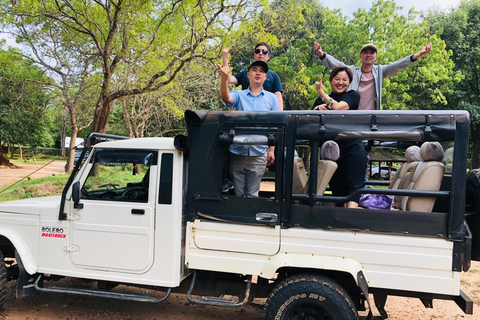 Sigiriya en Dambulla Privé Dagvullende TourTour vanuit het Negombo-gebied