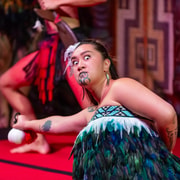 Cultural Experience & Hāngī dinner incl. day admission