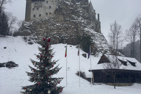 Brașov: Bran Castle, Bear Sanctuary, & Râșnov Citadel Tour