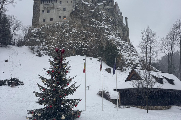 Brașov: Bran Castle, Bear Sanctuary, & Râșnov Citadel Tour