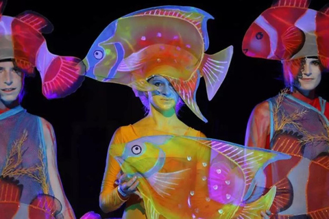 Phuket: Bilhete de entrada para o Aqua Circus com transferes opcionaisLugares de platina: Bilhete de entrada para o Phuket Aqua Circus