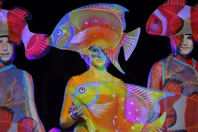 Phuket: Bilhete de entrada para o Aqua Circus com transferes opcionaisLugares de platina: Bilhete de entrada para o Phuket Aqua Circus