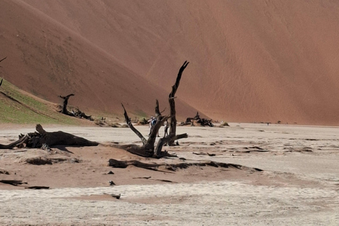 Windhoek: Sossusvlei and Swakopmund 3-Day & Sandwich Harbour