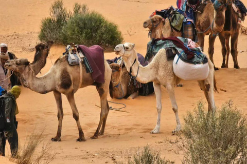 From Djerba: Douz, Matmata Star Wars Sites & local market